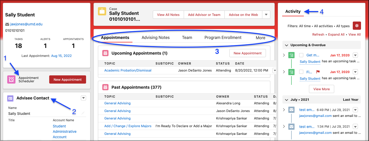Advising case example