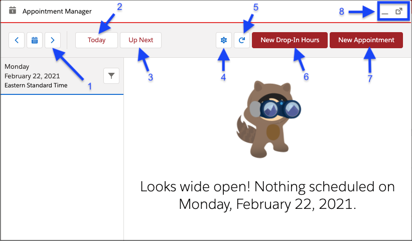 Appointment manager window